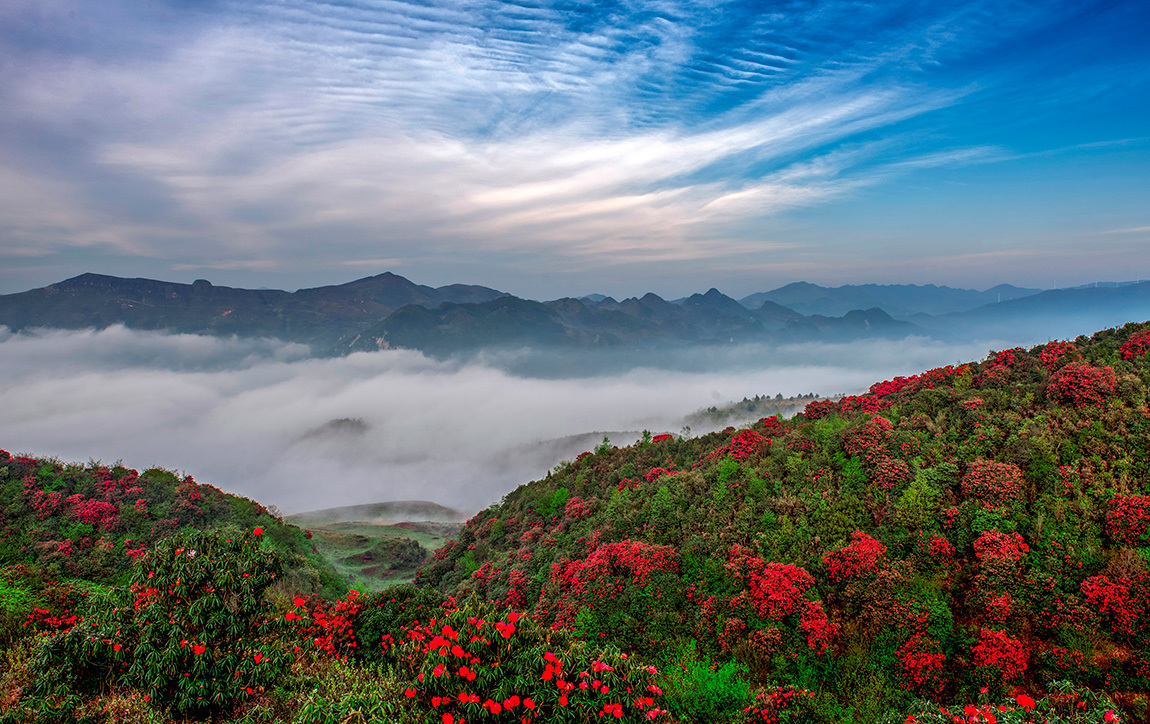 貴州省阿西裏西旅遊開發有(yǒu)限公(gōng)司