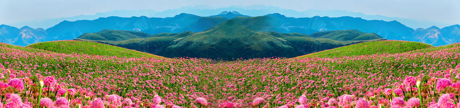 聯系我們