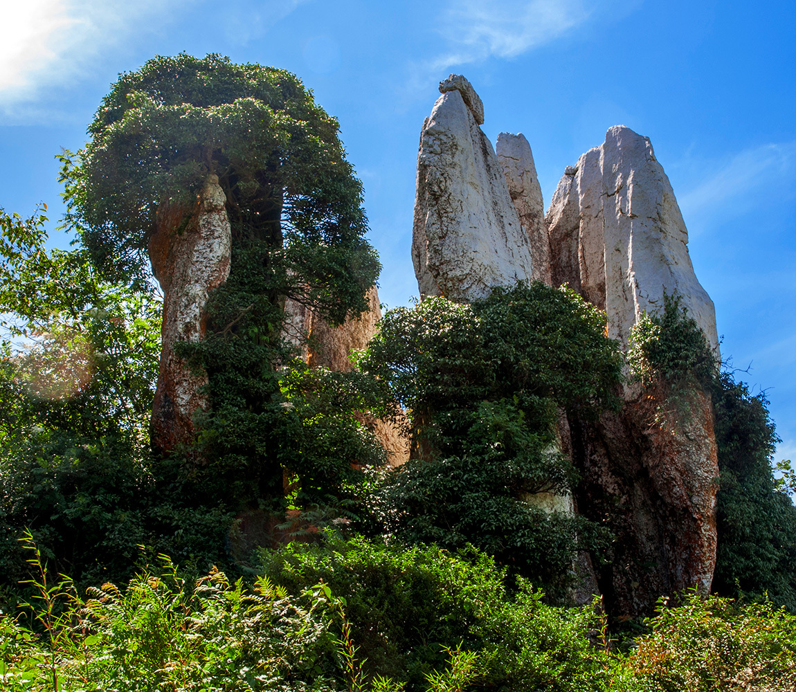 貴州省阿西裏西旅遊開發有(yǒu)限公(gōng)司